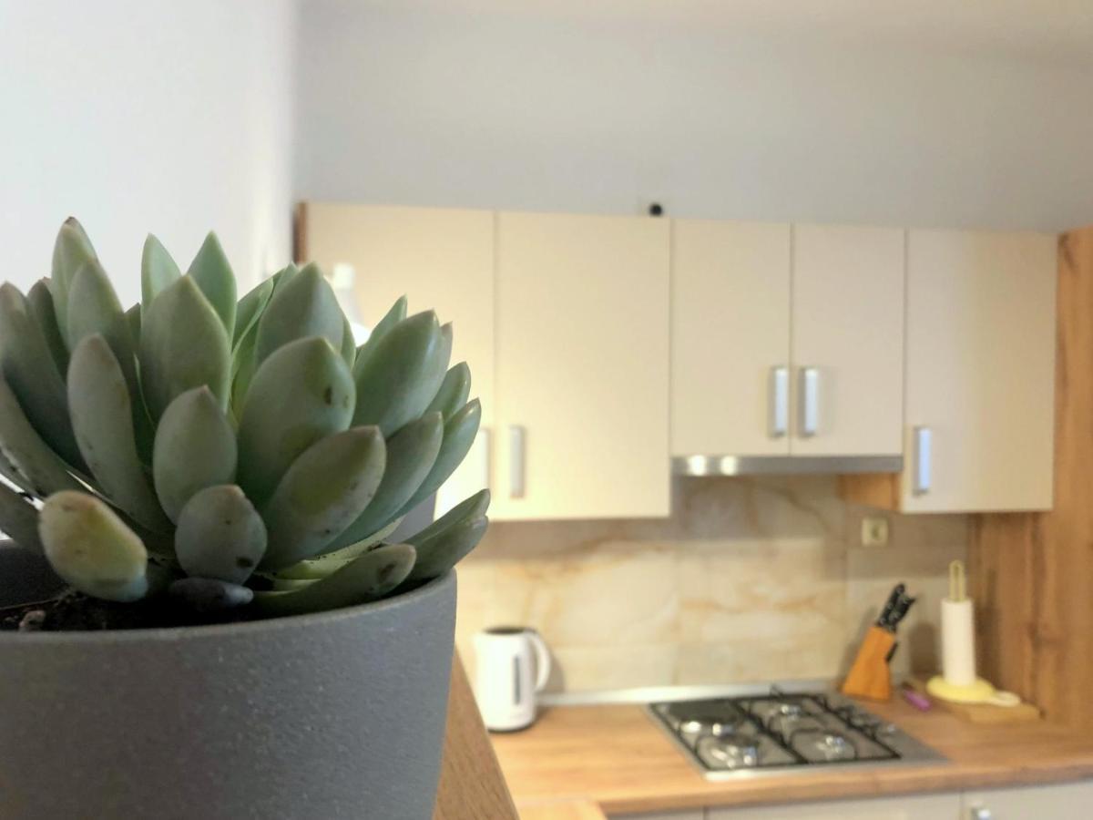 Zoro Apartments Palit Εξωτερικό φωτογραφία
